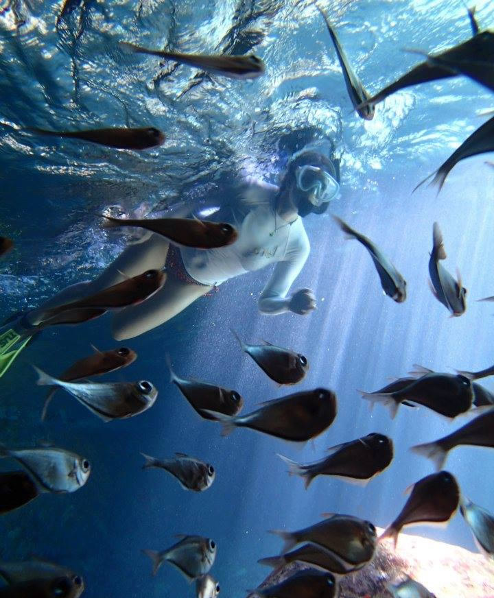 Rent A Boat from Caribbean Blue Boat Charters in St. Thomas USVI